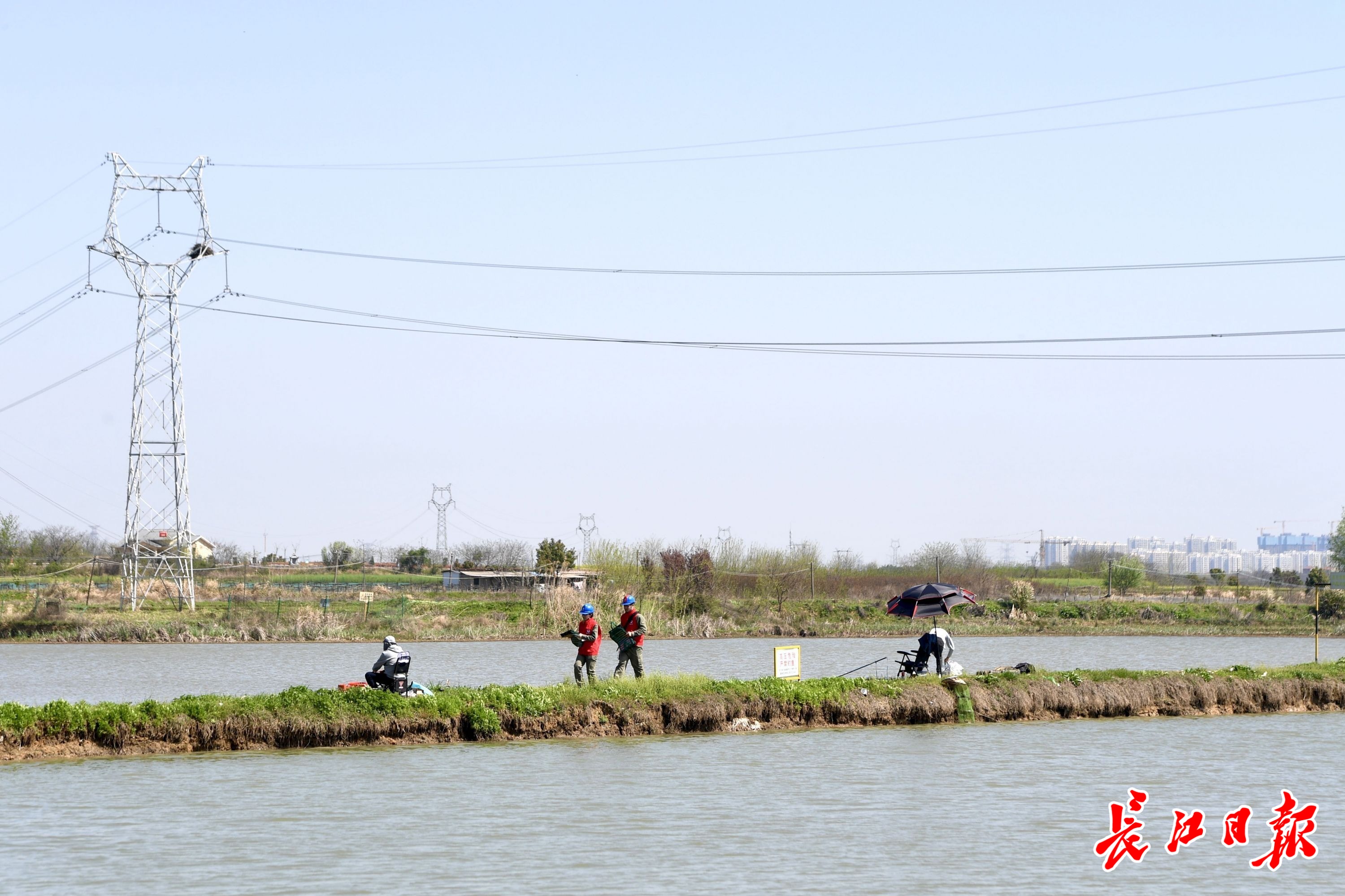 湖堤上陆鸣当起“电力设施安全宣传大使”(图1)